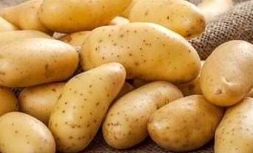 Patates Alerjisi